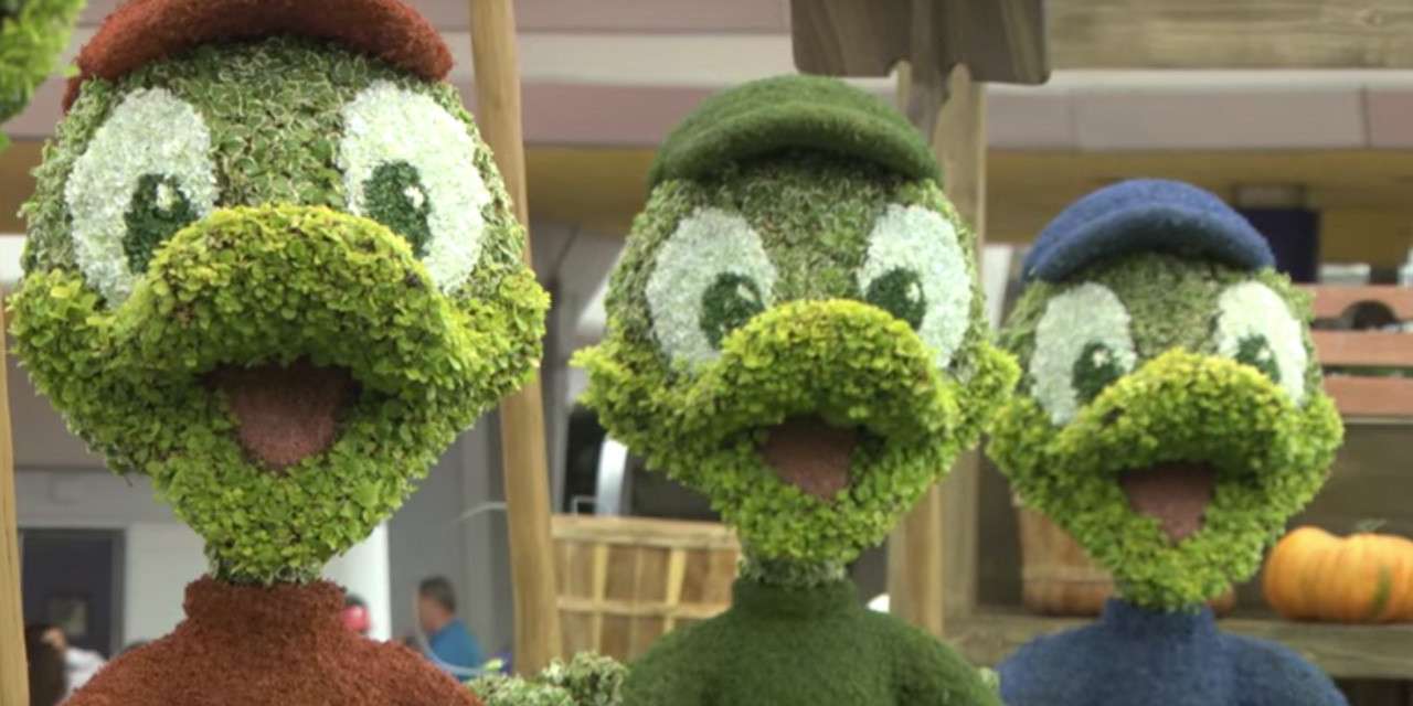 Behind the Scenes: The Making-of Huey, Dewey and Louie Topiaries at 2016 Epcot International Flower & Garden Festival