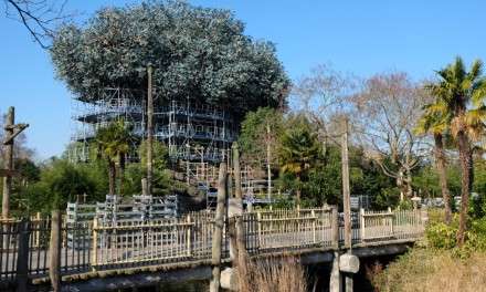 MAJOR RENOVATION FOR THE CABANE DES ROBINSON