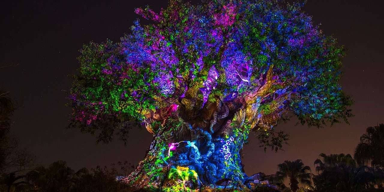Disney’s Animal Kingdom Introduces the Magic of Nature After Dark With First-Ever Extended Park Hours Starting Memorial Day Weekend
