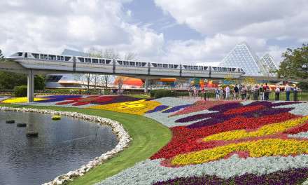 DIY: Create-Your-Own Topiary, Inspiration from the Epcot International Flower & Garden Festival
