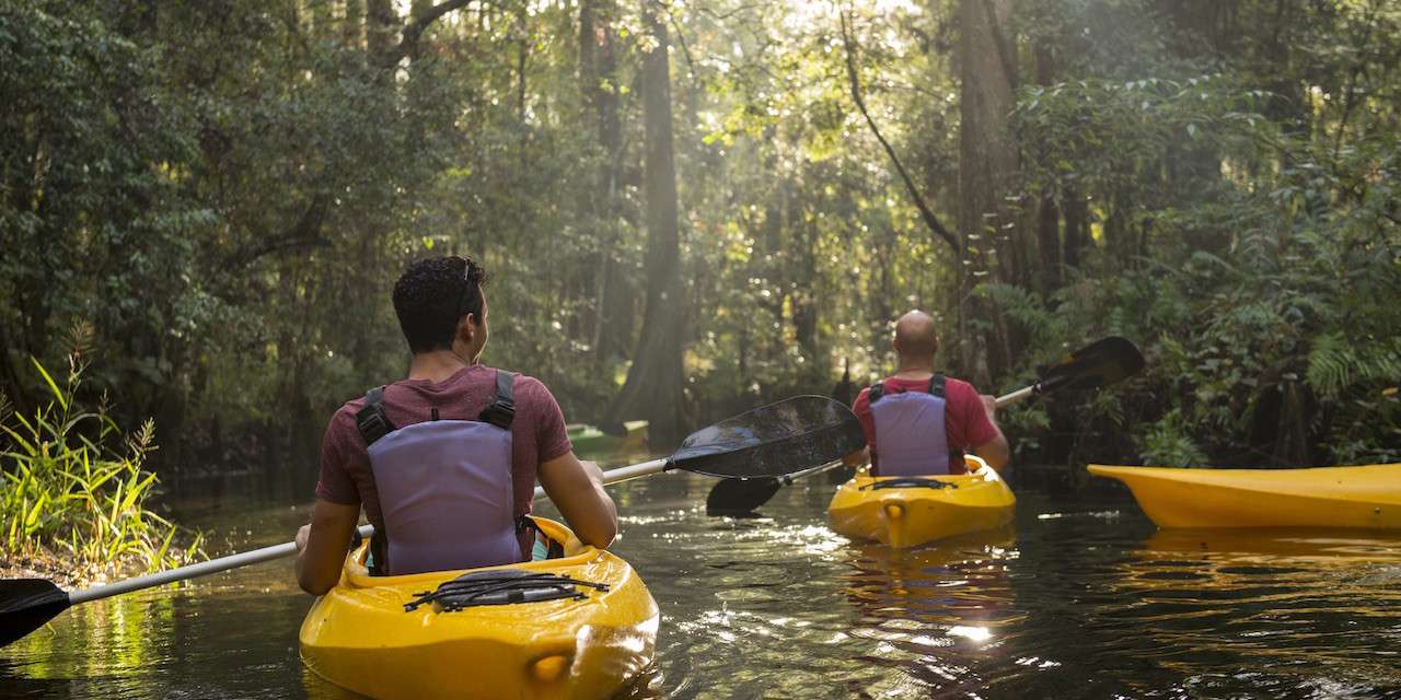 Kayak Through a Florida Cypress Swamp with Adventures by Disney