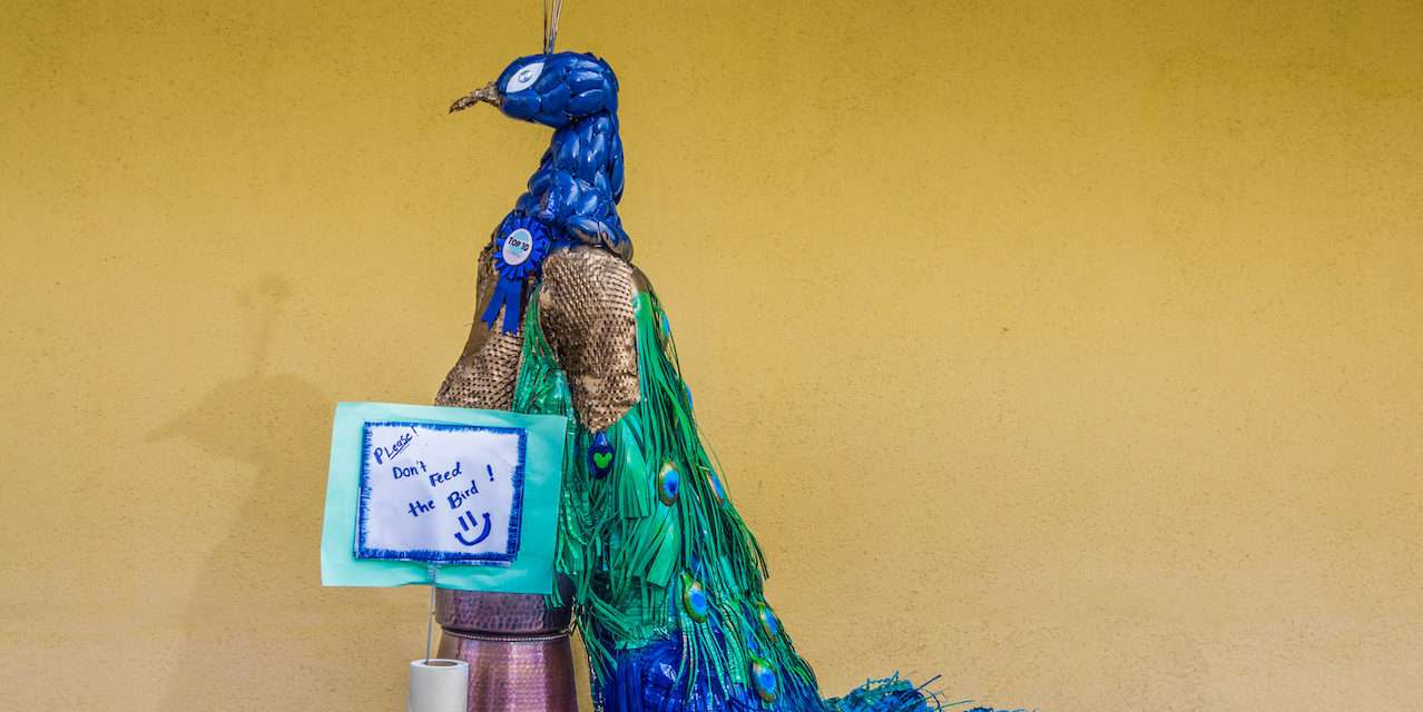 Disneyland Resort Cast Members Make Art Out of Recyclables; Vote for Your Favorite Beginning Today at Disney California Adventure Park