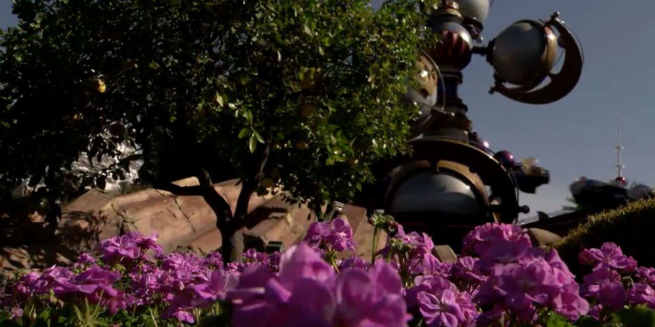 Disneyland Resort Horticulture Team Makes the Parks Blossom in Springtime