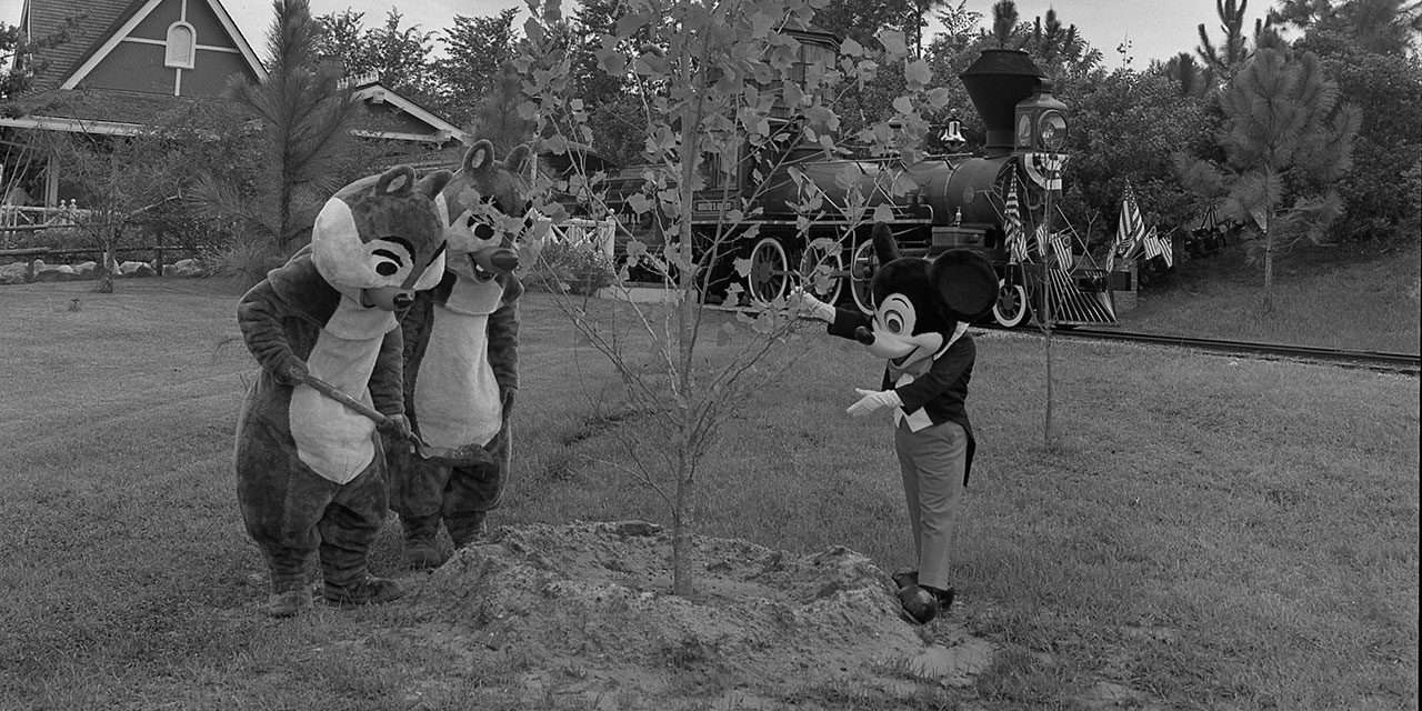 Disney Days of Past: Celebrating Arbor Day!