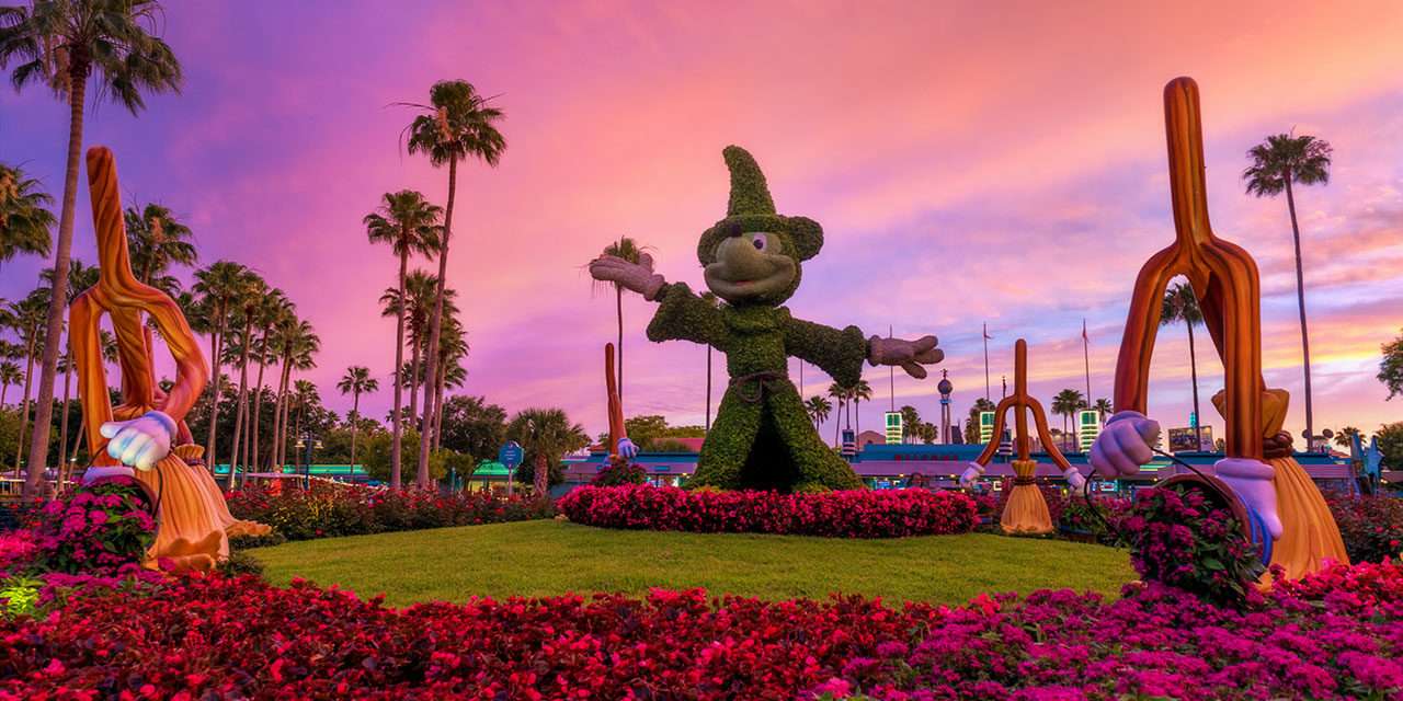 Disney Parks After Dark: Mickey Topiary at Disney’s Hollywood Studios