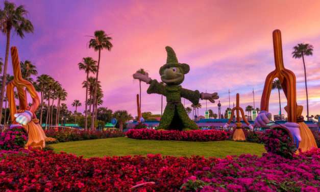 Disney Parks After Dark: Mickey Topiary at Disney’s Hollywood Studios