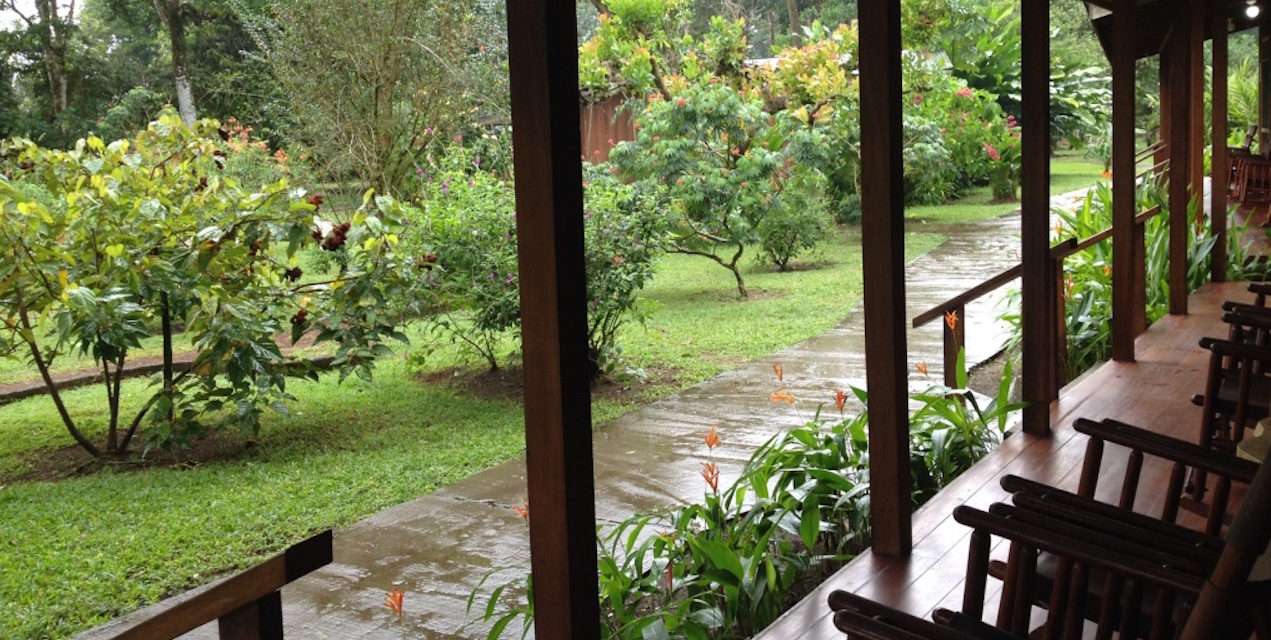 Room With a View: Experience the Costa Rican Rainforest with Adventures by Disney