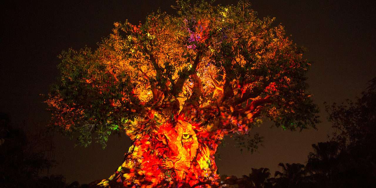 First-Ever Night Experiences at Disney’s Animal Kingdom Begin May 27