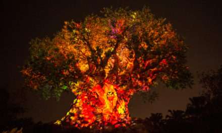 5 Reasons to Stay Up Late at Disney’s Animal Kingdom This Summer