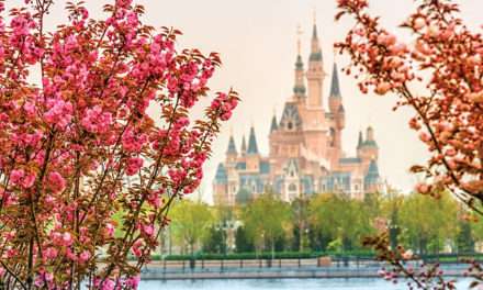 Cast Members at Shanghai Disney Resort Begin Trial Operations to Get Ready for Grand Opening