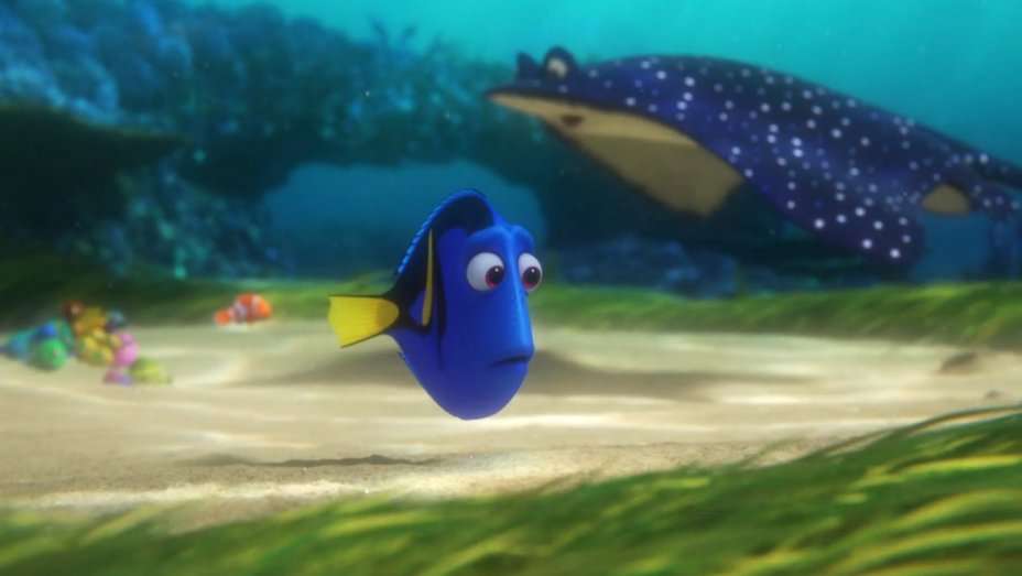 Petition Asks Disney, Pixar to Protect ‘Dory’ Fish