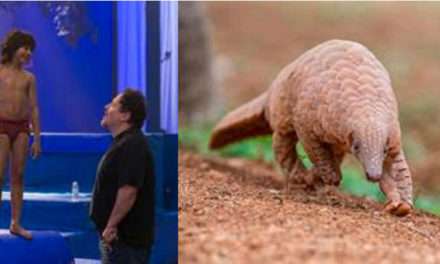 Exclusive IFAW Q&A w/Jungle Book Director Jon Favreau on Inclusion of a Pangolin, the World’s Most Endangered Mammal