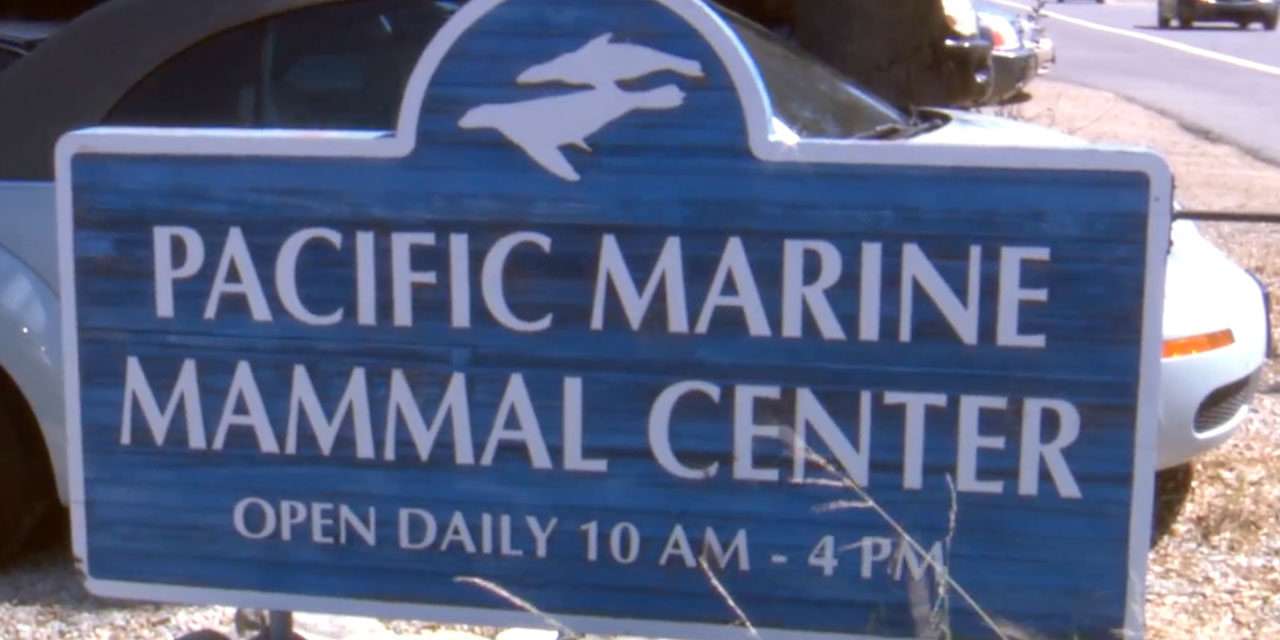 Disneyland Resort Donates $60,000 to Pacific Marine Mammal Center in Laguna Beach, California on Earth Day