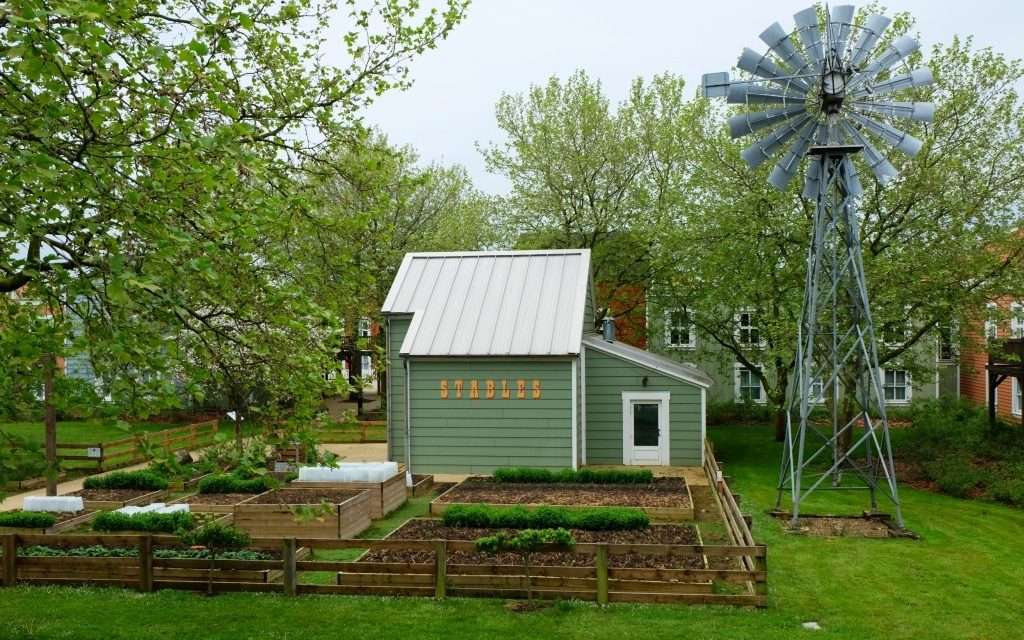 Remy’s Vegetable Patch Wins Professional Gardening Award