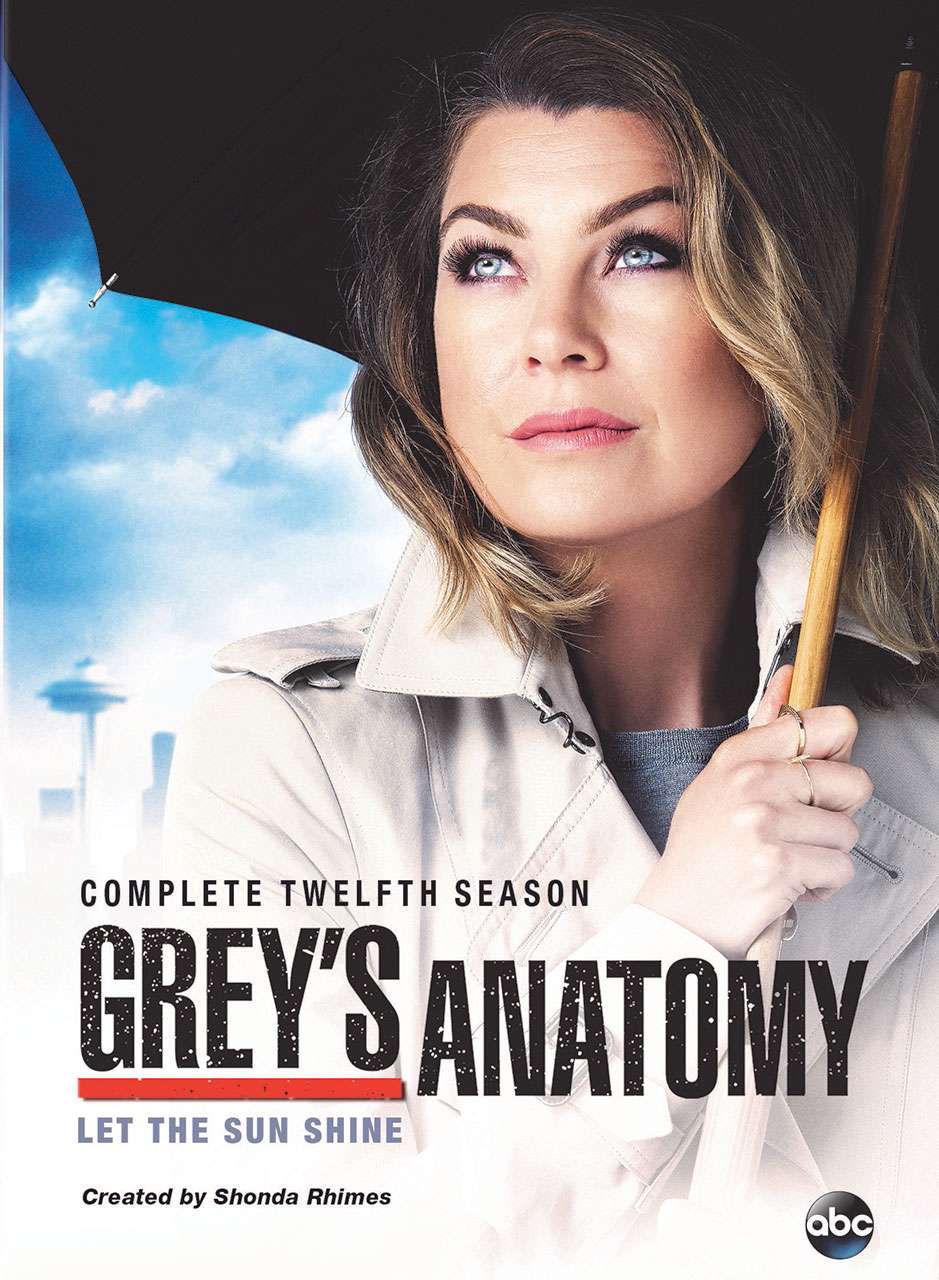 Grey's Anatomy Season 12 Box Art