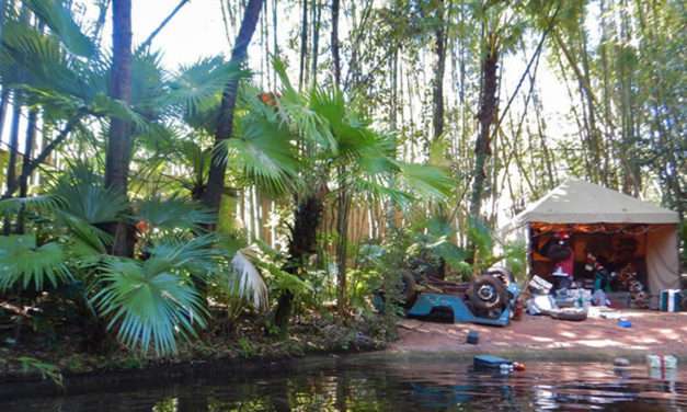 Jungle Cruise turns into the “Jingle” Cruise