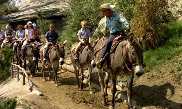 Opening Day to Today: Mule Pack Becomes Big Thunder Mountain Railroad at Disneyland Park