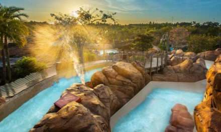Ready For The ‘Falls’ At Disney’s Typhoon Lagoon Water Park?