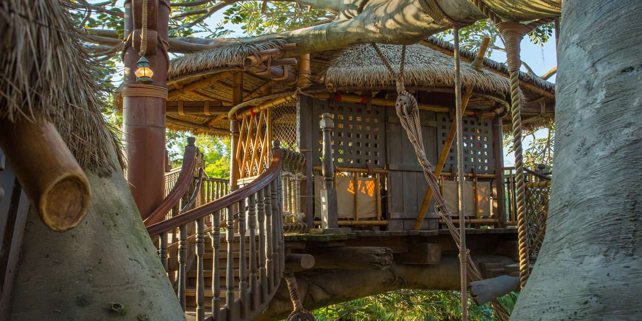 A Fabulous 45th: The Swiss Family Robinson Treehouse
