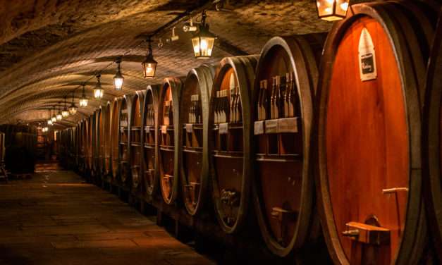 Adventures by Disney Announces New Food & Wine Themed River Cruise