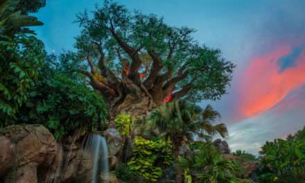 Disney Parks After Dark: A Colorful Sunset at the Tree of Life