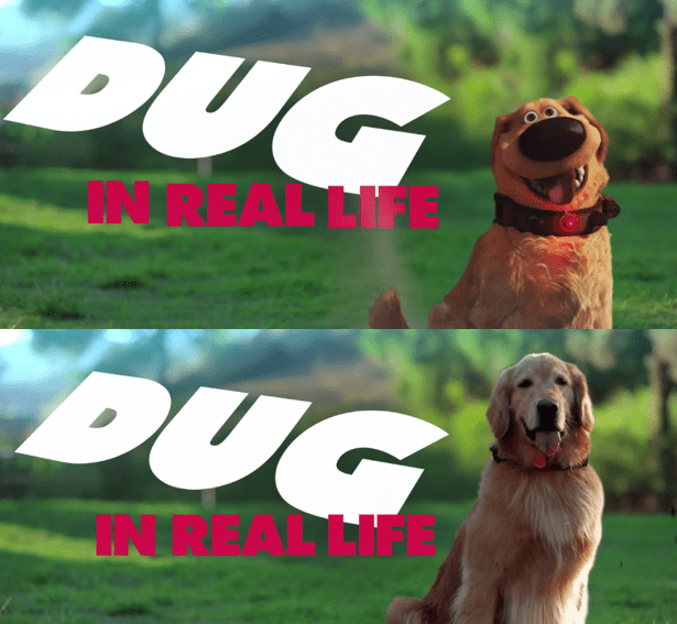 Voice of “Dug” from Disney-Pixar’s “Up” Reprises Role to Launch Disney IRL Series, Debuting Today