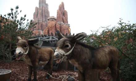 Big Thunder Mountain Reopens at Disneyland Paris