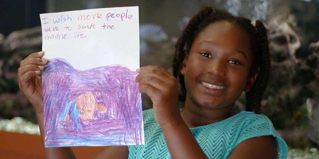 Children Share Their Wishes for Wildlife: Marine Life