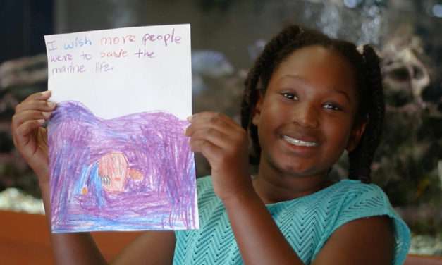 Children Share Their Wishes for Wildlife: Marine Life