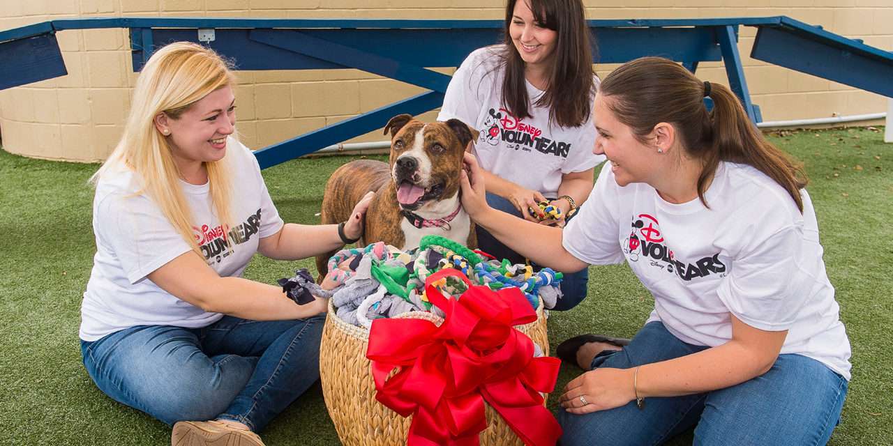 Pet Alliance of Greater Orlando Receives ‘Playful’ Donation from Disney Vacation Club VoluntEARS