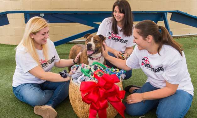Pet Alliance of Greater Orlando Receives ‘Playful’ Donation from Disney Vacation Club VoluntEARS