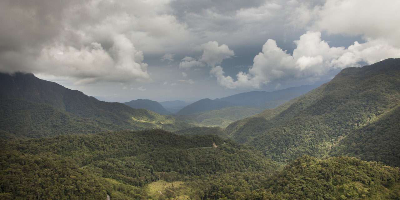 New Coffee Blend Helps Peruvian Communities