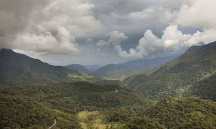 New Coffee Blend Helps Peruvian Communities