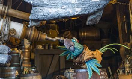 Treasures Abound at Miss Adventure Falls at Disney’s Typhoon Lagoon Water Park