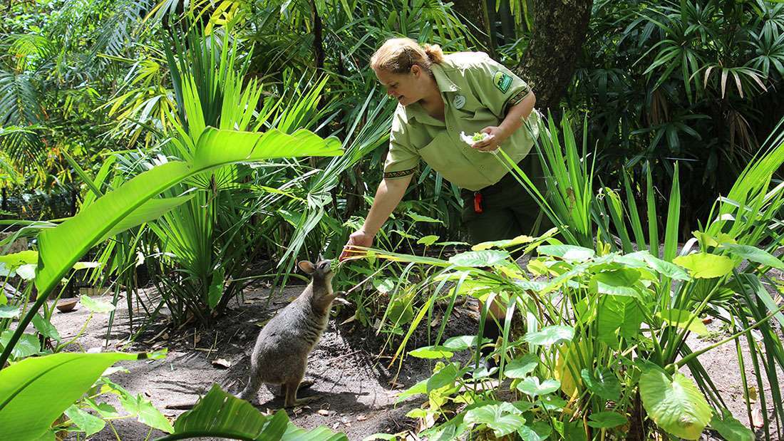 Celebrate Earth Month at Disney Parks and Resorts