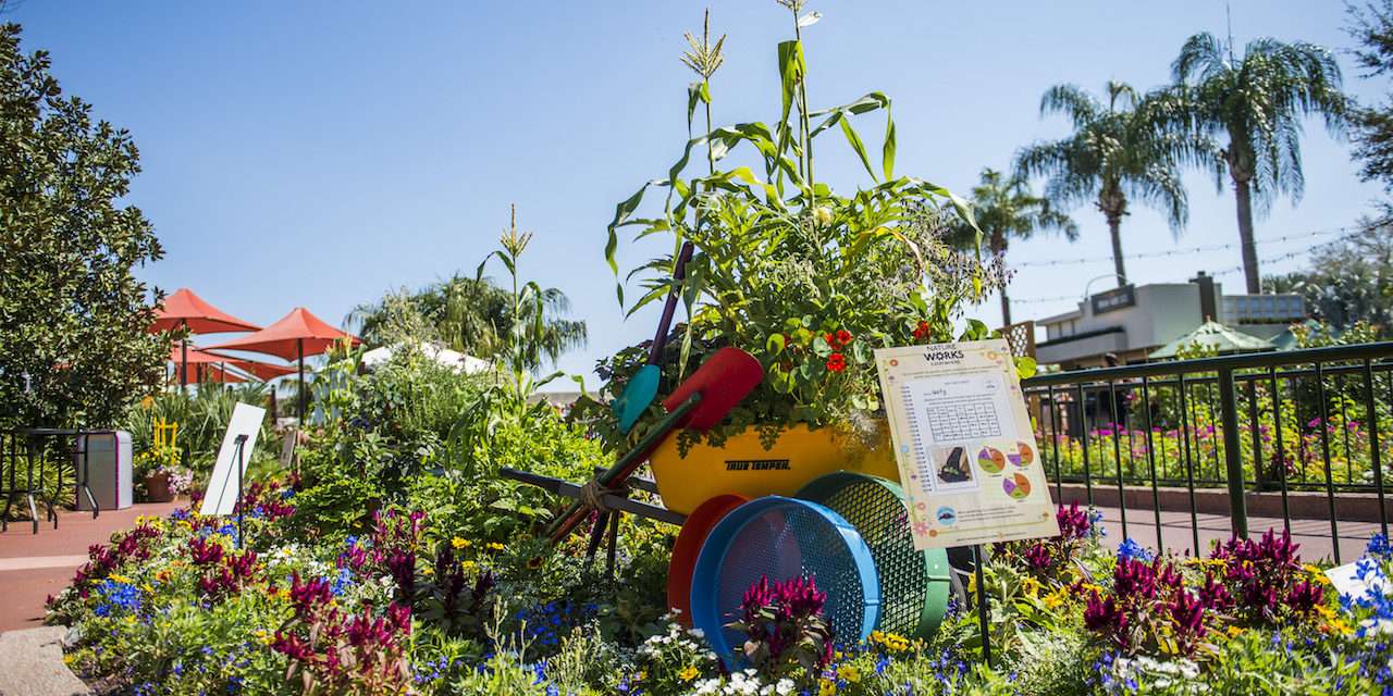 Kumquats and Papayas in a Container Garden? Ideas for Your Own Urban Farm at Epcot International Flower & Garden Festival