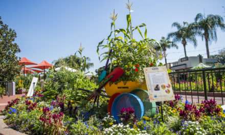 Kumquats and Papayas in a Container Garden? Ideas for Your Own Urban Farm at Epcot International Flower & Garden Festival