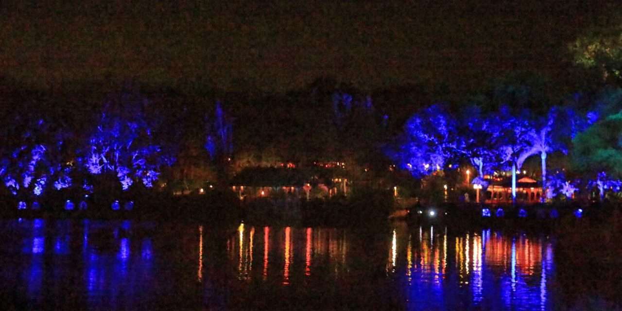 Animal Kingdom’s “Rivers of Light” Show