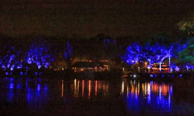 Animal Kingdom’s “Rivers of Light” Show