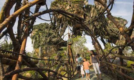 Seven Ways To Have Fun In Pandora – The World of Avatar (Aside From Attractions)