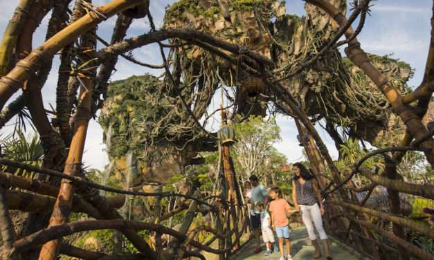 Seven Ways To Have Fun In Pandora – The World of Avatar (Aside From Attractions)
