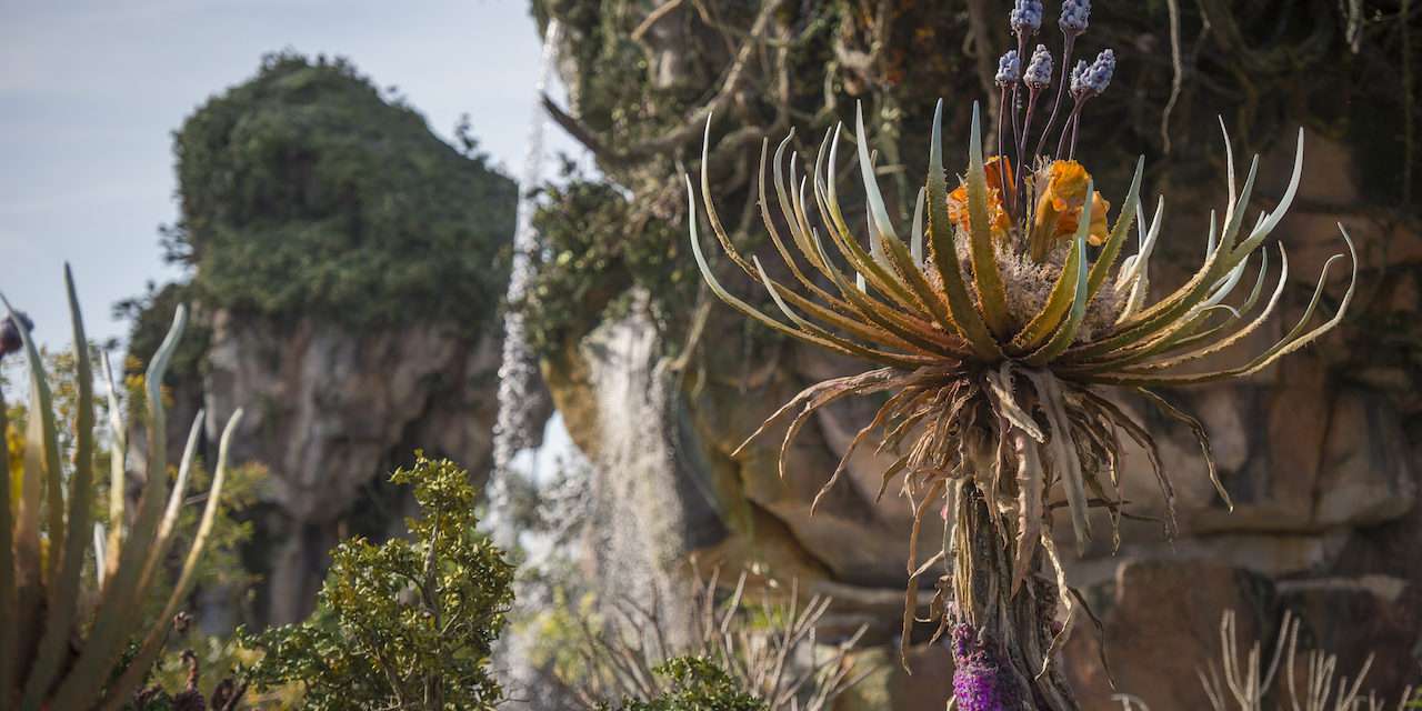 ‘Connect to Protect’ Introduces a New Interactive Way to Protect Animals on Earth and Explore Pandora – The World of Avatar at Disney’s Animal Kingdom