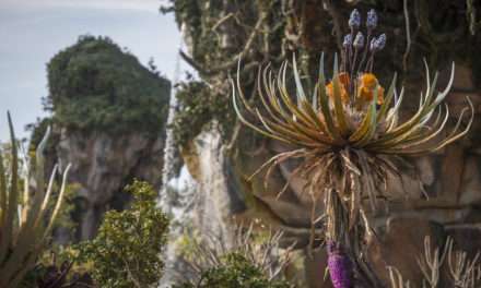 ‘Connect to Protect’ Introduces a New Interactive Way to Protect Animals on Earth and Explore Pandora – The World of Avatar at Disney’s Animal Kingdom