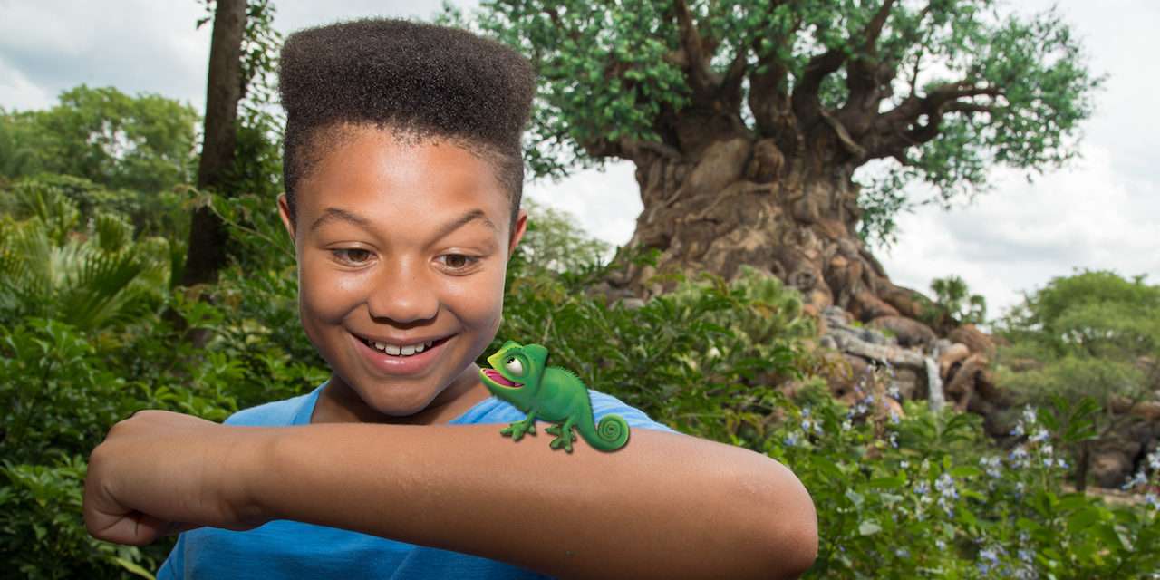 Exotic Magic Shots Available at Disney’s Animal Kingdom