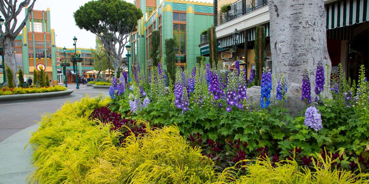 Downtown Disney District at the Disneyland Resort is Blossoming with New Landscaping, Music and Shops