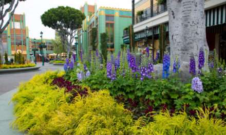 Downtown Disney District at the Disneyland Resort is Blossoming with New Landscaping, Music and Shops