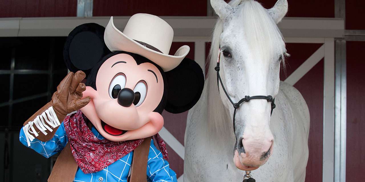 Disneyland Resort Horses at Home in New Circle D Ranch