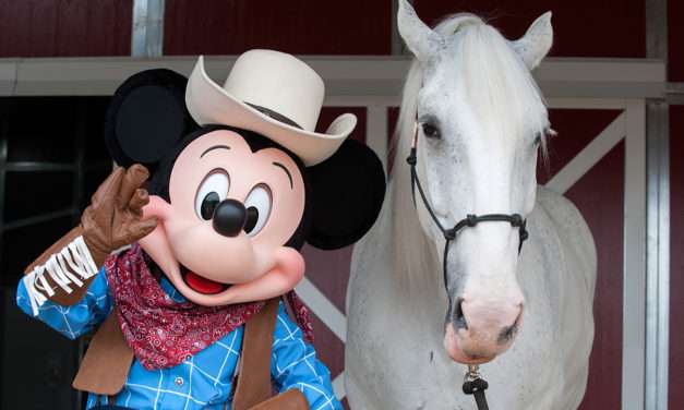 Disneyland Resort Horses at Home in New Circle D Ranch