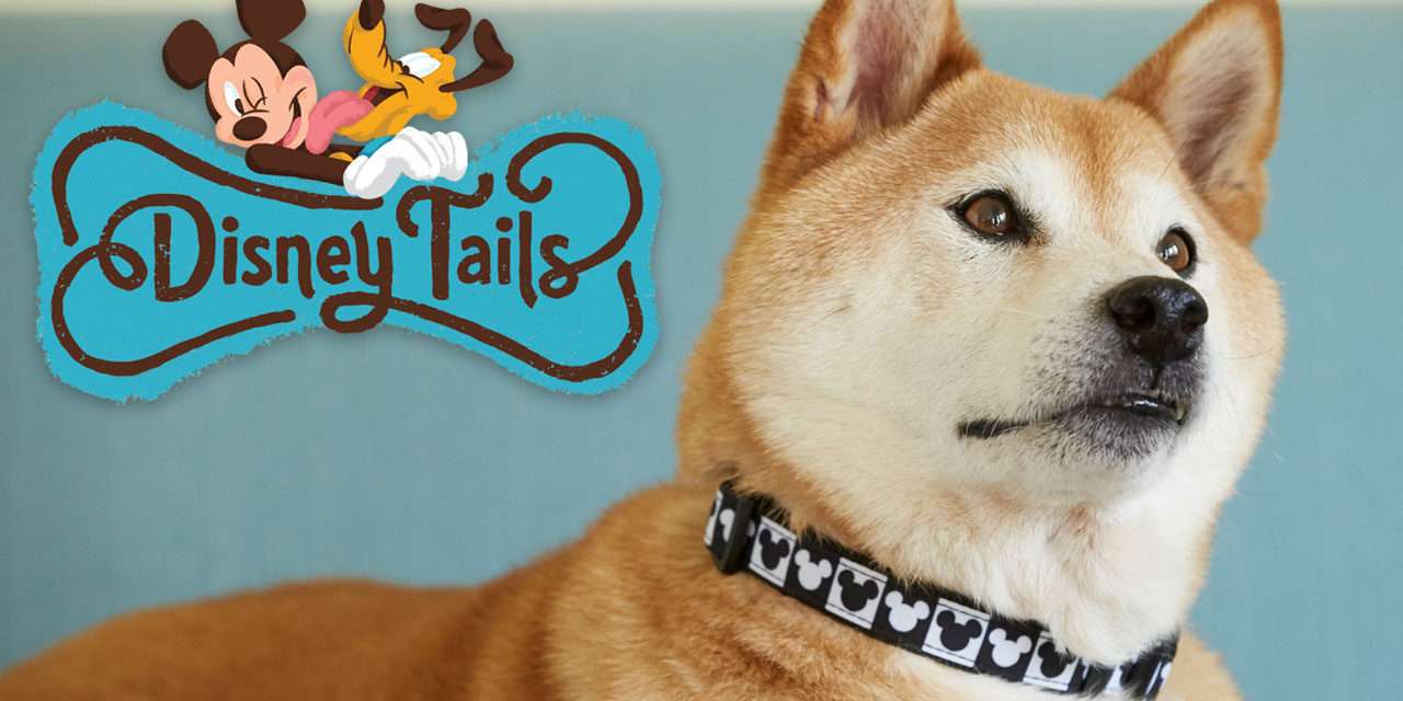 Proud Pet Parent Expands Disney Tails Collection at Disney Parks