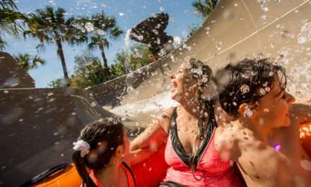 Slide Through Miss Adventure Falls at Disney’s Typhoon Lagoon Water Park